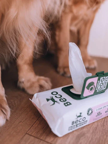 80 Lingettes Lavantes Pour Chien - Compostables - Noix De Coco đ„„ â Image 2