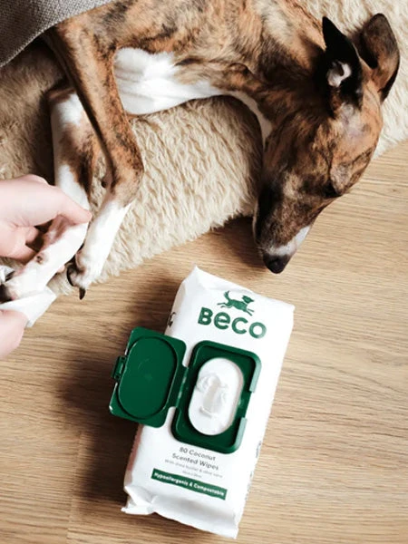 80 Lingettes Lavantes Pour Chien - Compostables - Noix De Coco đ„„ â Image 3