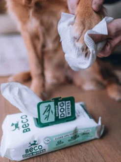 80 Lingettes Lavantes Pour Chien - Compostables - Sans Parfum