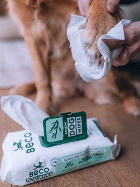 80 Lingettes Lavantes Pour Chien - Compostables - Sans Parfum