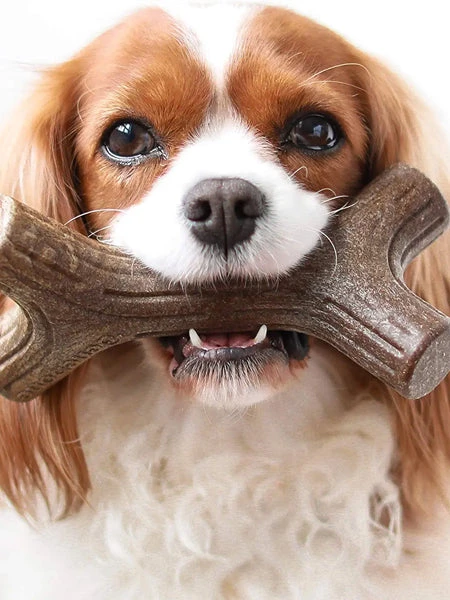 Jouet à Mâcher Pour Chien - Bacon Stick 🥓 - Benebone – Image 4