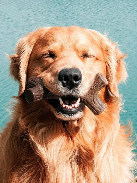 Jouet à Mâcher Pour Chien - Bacon Stick 🥓 - Benebone – Image 2