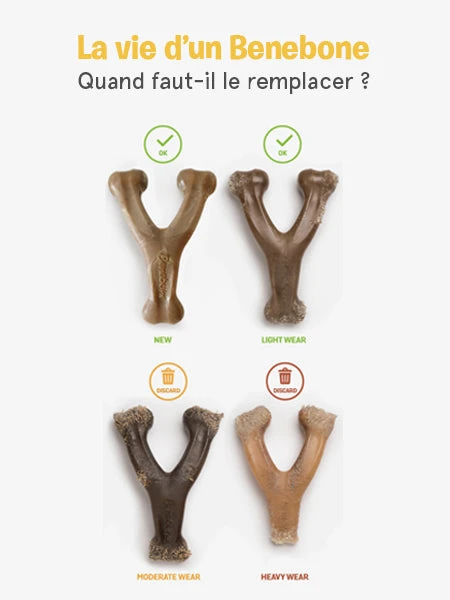 Jouet à Mâcher Pour Chien - Bacon Stick 🥓 - Benebone – Image 8