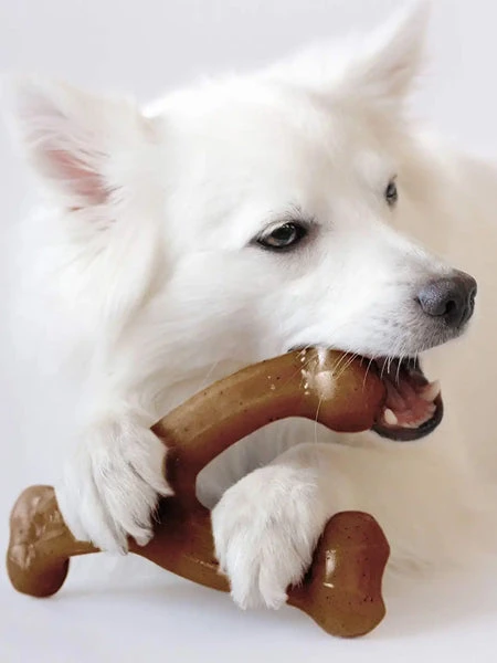 Jouet à Mâcher Pour Chien - Wishbone - Saveur Poulet 🐔 - Benebone – Image 3