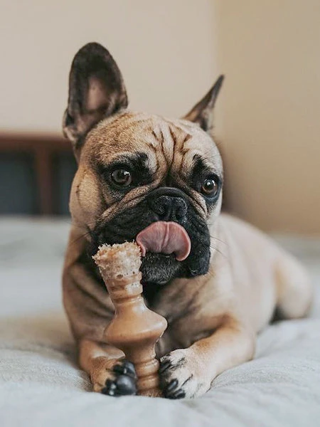 Jouet à Mâcher Pour Chien - Zaggler - Saveur Beurre De Cacahuète 🥜 - Benebone – Image 3