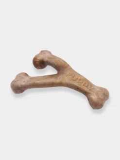 Jouets à Mâcher Pour Chiot - Wishbone Puppy Bacon 🥓 - Benebone