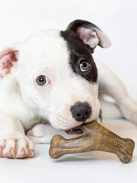 Pack De 2 Jouets à Mâcher Pour Chiot - Dental Chew / Wishbone Bacon 🥓 - Benebone – Image 2