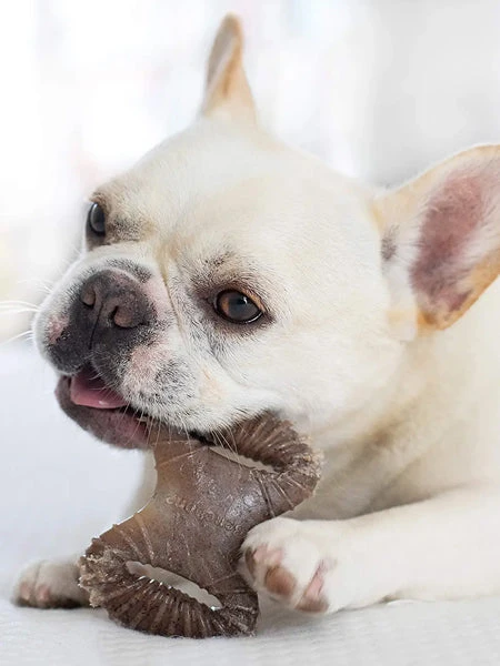 Pack De 2 Jouets à Mâcher Pour Petit Chien - Dental Chew / Wishbone Bacon 🥓 - Benebone – Image 3