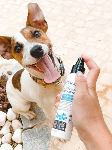 Soin Dentaire Pour Chien En Spray - Dentifresh 🦷 - Biogance – Image 3