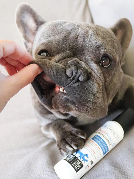 Soin Dentaire Pour Chien En Spray - Dentifresh 🦷 - Biogance – Image 2