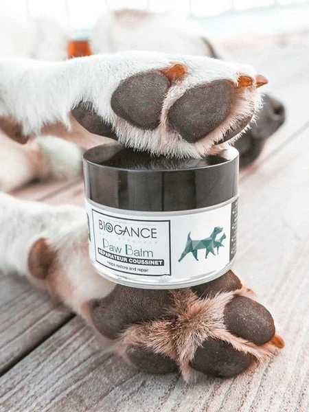 Baume Coussinets Pour Chien đŸ - Paw Balm - Biogance â Image 2
