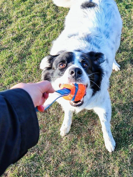 Balle Pour Chien Ultra Tug Chuck It! - Taille M – Image 2