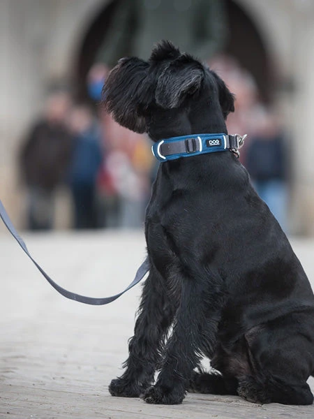 Collier Bleu Pour Chien - Urban Explorer - DOG Copenhagen – Image 8