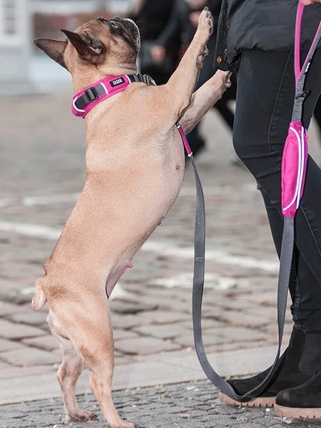 Collier Rose Pour Chien - Urban Explorer - DOG Copenhagen – Image 5