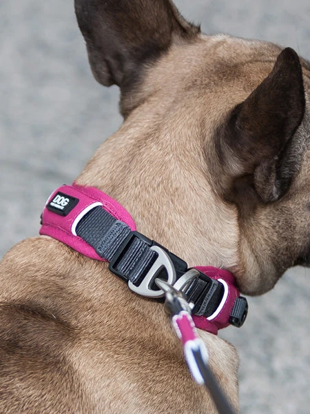 Collier Rose Pour Chien - Urban Explorer - DOG Copenhagen – Image 3