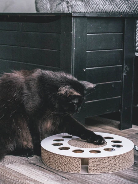 Griffoir En Carton Pour Chat - Rond – Image 5