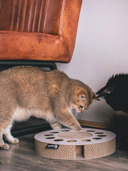 Griffoir En Carton Pour Chat - Rond – Image 3