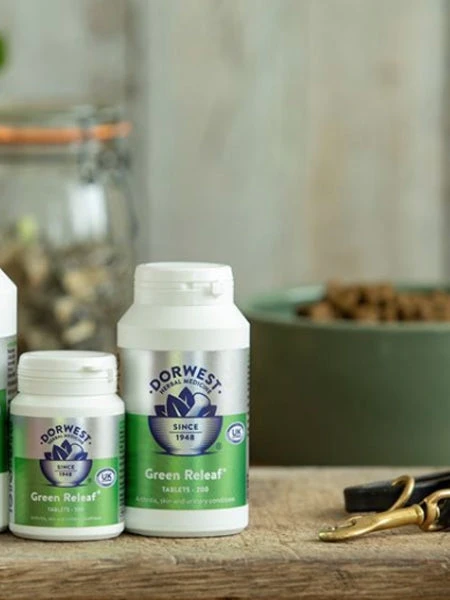 Green Releaf Dorwest (Legume's Mix) - Soulage Les Articulations Pour Chien Et Chat – Image 2