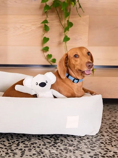 Peluche Originale Pour Chien - Koala - FuzzYard LIFE – Image 2