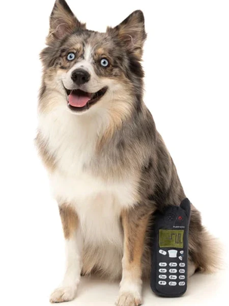 Peluche Rétro Pour Chien - Téléphone Nokidog 📱- FuzzYard – Image 2
