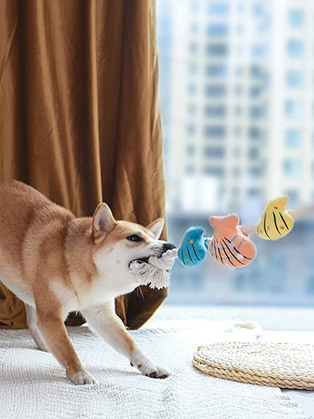 Jouet En Peluche Et Corde - Beach Daze Coquillage đ - HugSmart â Image 2