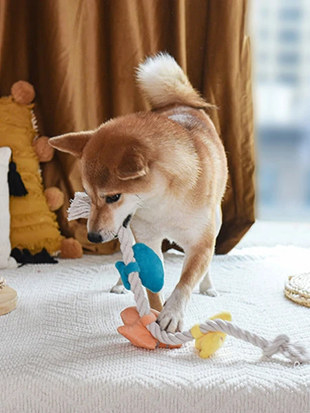 Jouet En Peluche Et Corde - Beach Daze Coquillage đ - HugSmart â Image 3