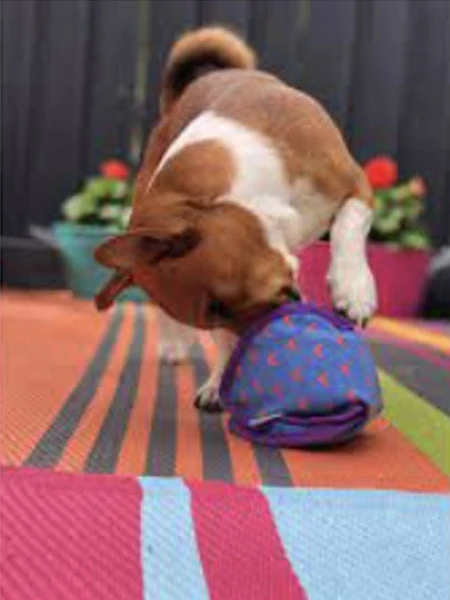 Jouet Distributeur De Friandises Pour Chien - KONG Hide N Treat (M) – Image 2