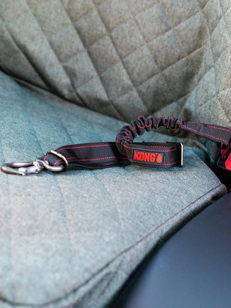 Ceinture De Sécurité Pour Chien - Kong – Image 3