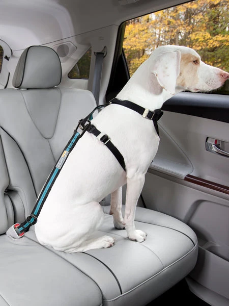 Kurgo Ceinture De Sécurité Pour Chien - Orange – Image 2