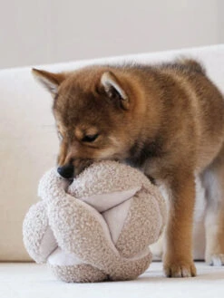 Jouet Interactif Pour Chien - Monti - Avoine