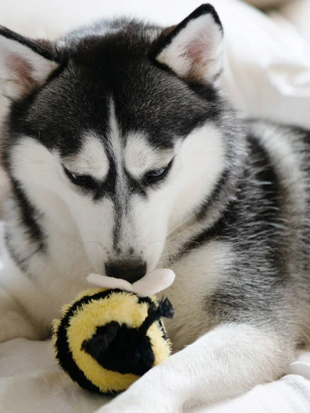 Jouet Design En Forme De Balle - Bee POP đ - Lambwolf Collective â Image 3