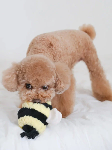 Jouet Design En Forme De Balle - Bee POP đ - Lambwolf Collective â Image 4