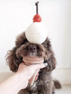 Jouet De Fouille Design En Forme De Glace - Ice Cream POP