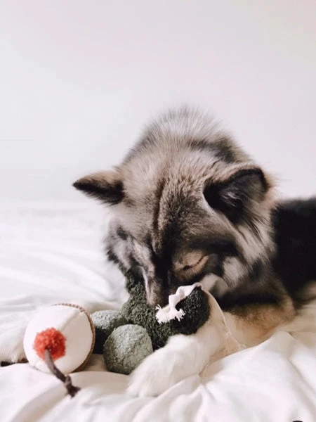 Jouet De Fouille Design En Forme De Pois - Pea POP â Image 2