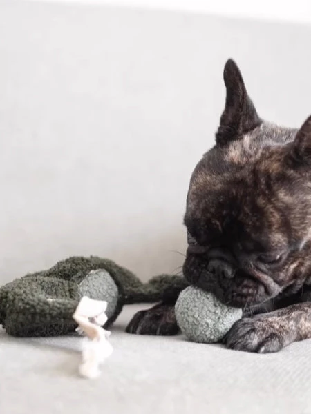 Jouet De Fouille Design En Forme De Pois - Pea POP â Image 3