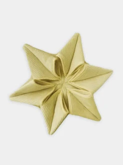 Tapis De Fouille Pour Chien - Hoshi Nosework