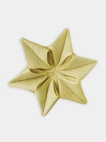 Tapis De Fouille Pour Chien - Hoshi Nosework