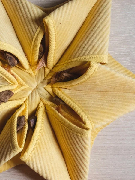 Tapis De Fouille Pour Chien - Hoshi Nosework â Image 2