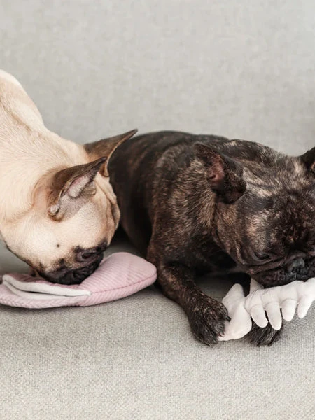 Jouet Interactif Pour Chien - Angel Fish â Image 2