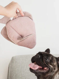 Jouet Interactif Pour Chien - Angel Fish