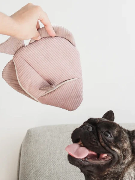 Jouet Interactif Pour Chien - Angel Fish