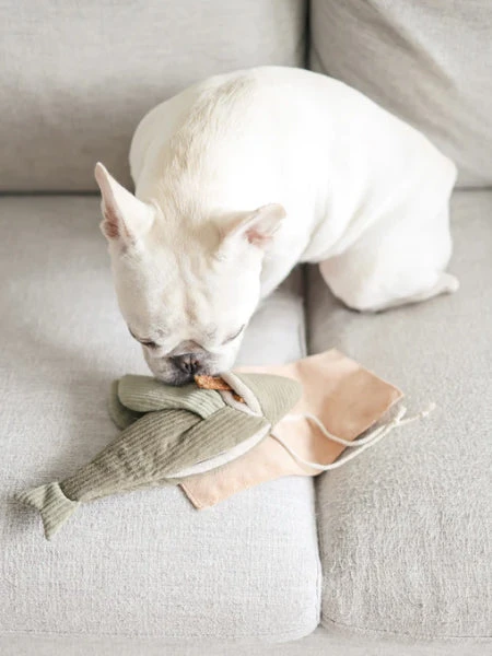 Jouet Interactif Pour Chien - Flying Fish – Image 2