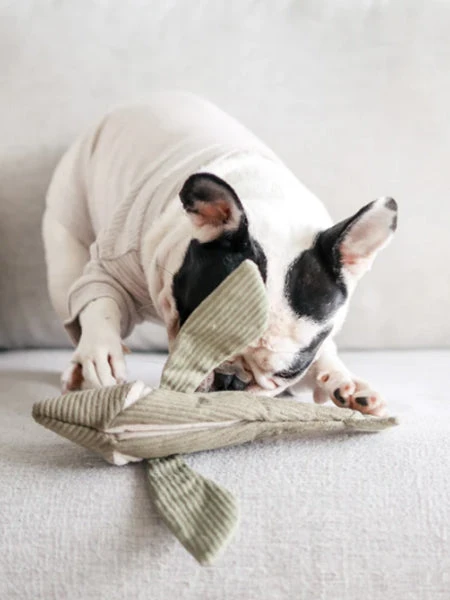 Jouet Interactif Pour Chien - Flying Fish – Image 4