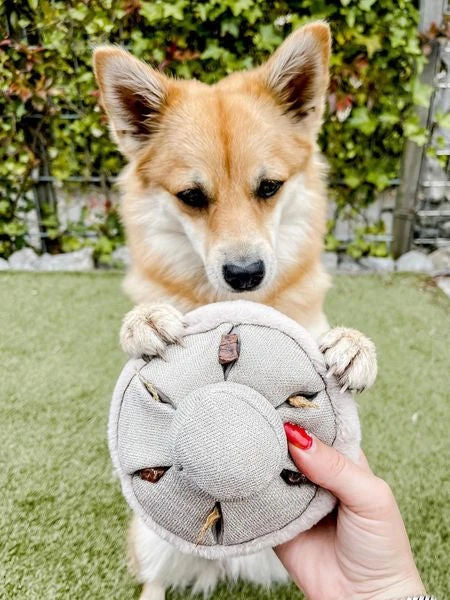 Jouet Interactif Pour Chien - Mushroom Nosework â Image 2