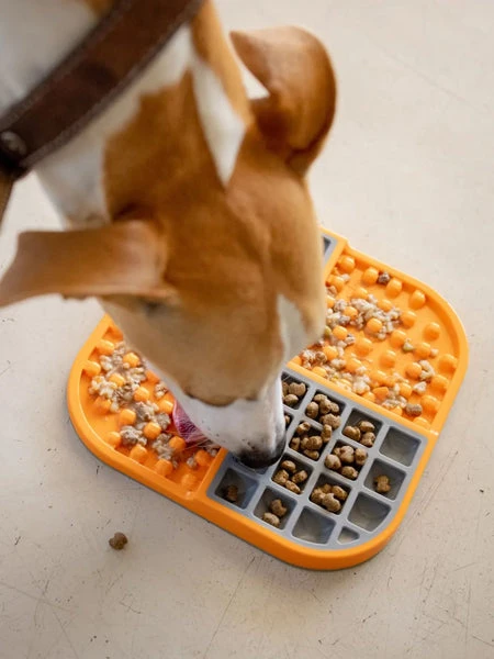 Plateau D'enrichissement Et De Léchage LickiMat Slomo - Orange – Image 2