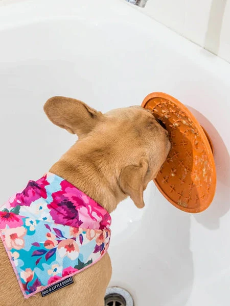 Bol D'enrichissement Et De Léchage LickiMat Splash - Orange – Image 2