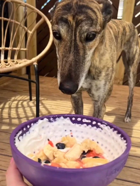 Bol D'enrichissement Et De Léchage LickiMat Wobble - Violet – Image 2