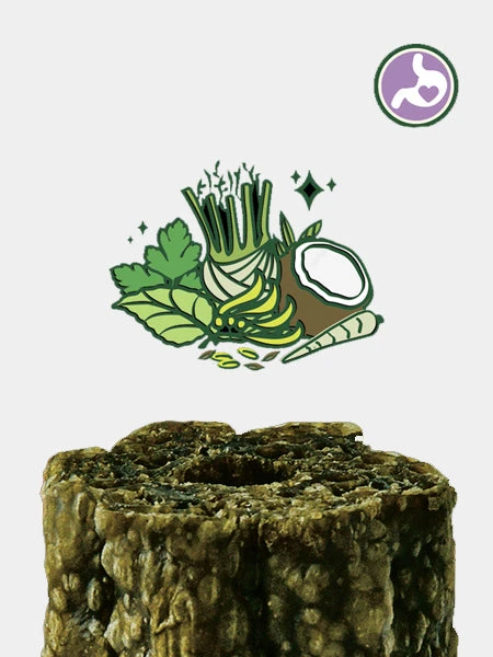 Stick Dentaire Pour Chien WoofBrush De Lily's Kitchen - Moyen Chien â Image 2