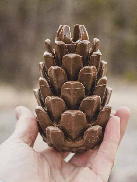 Jouet Occupation Pour Chien - Pomme De Pin - Loblola – Image 6