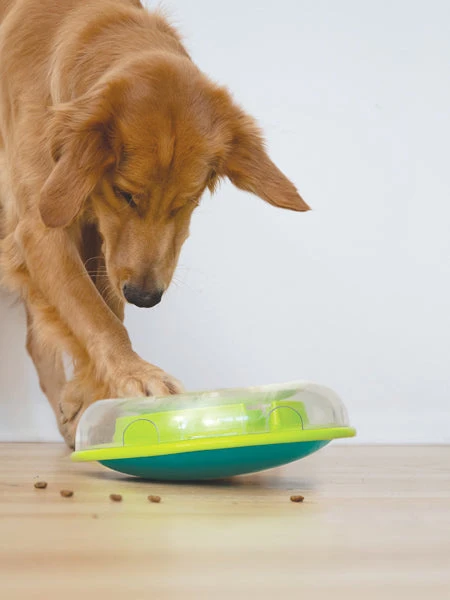 Outward Hound Jouet Interactif Distributeur De Friandises Pour Chien - Wobble Bowl – Image 2